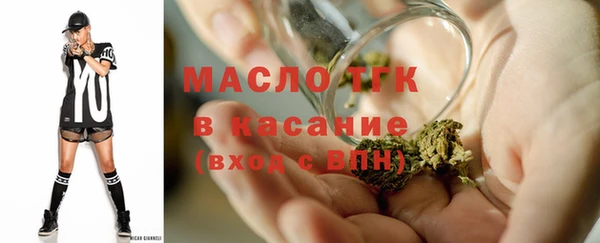 СК Алексин
