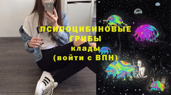 ГАЛЛЮЦИНОГЕННЫЕ ГРИБЫ Магас