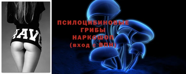 ECSTASY Алексеевка