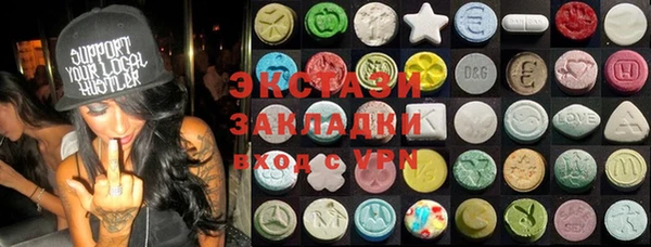 СК Алексин