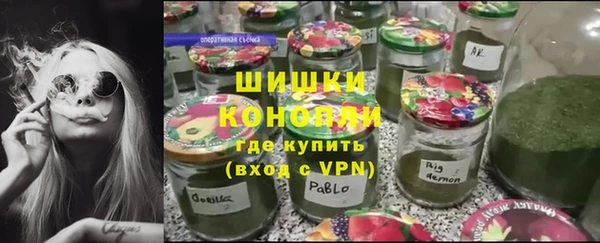 ГАЛЛЮЦИНОГЕННЫЕ ГРИБЫ Алзамай